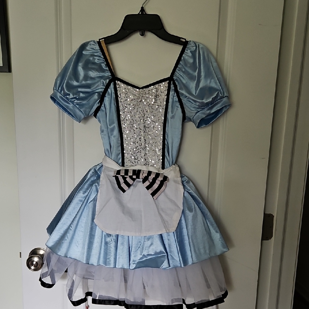 Weissman Alice In Wonderland Childs Costume